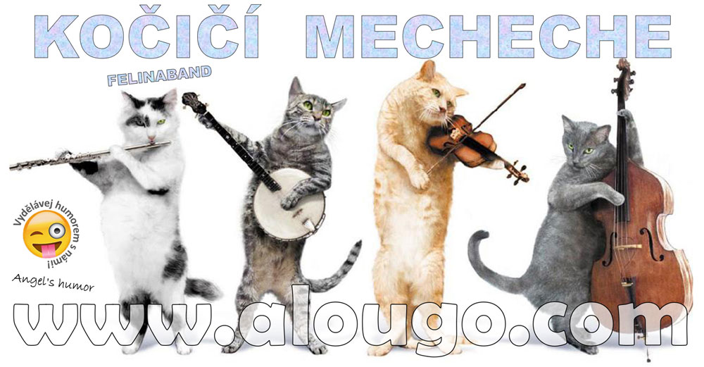 Mecheche - kočičí zpěváci, muzikanti, tanečníci, ...