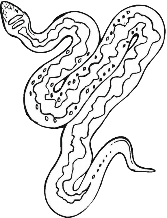 pohádka: Bílý had a Běla